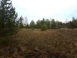 Продаж ділянки в кінці с.Пряжів фото 5 Продаж ділянки в кінці с.Пряжів фото 5