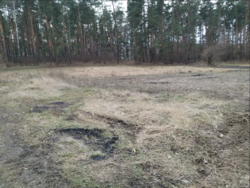 Продаж ділянки через дорогу від лісу, Слобода-Селець фото 11 Продаж ділянки через дорогу від лісу, Слобода-Селець фото 11