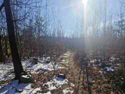 Ділянка 'Дачне' Новогуйвинське фото 7 Ділянка 'Дачне' Новогуйвинське фото 7