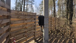 ĳ����� 20 ����� � ������� �� ������ ������� ��� ���� 6