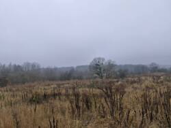 ��������� ������ ������, ������������, ����������� ���� 6