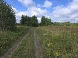 Продається ділянка Житомирська, Житомир, Аеропорт, Коростенська вул. фото 9 Продається ділянка Житомирська, Житомир, Аеропорт, Коростенська вул. фото 9