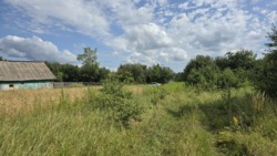 Продаж ділянки с.Високий Камінь, Коростишівського району фото 1 Продаж ділянки с.Високий Камінь, Коростишівського району фото 1