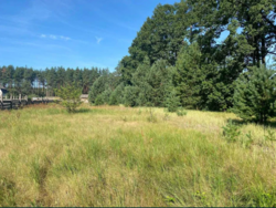 ��������� ������ �����������, ������������, ������ ���� 7