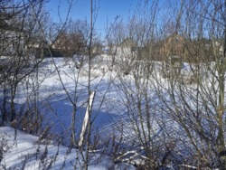 ���� �� �������������, ������������ ����� ���� 12