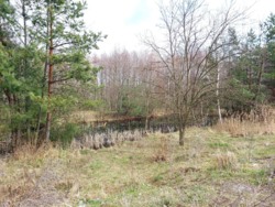 Фасадна ділянка 70 соток (26137933) фото 7 Фасадна ділянка 70 соток (26137933) фото 7