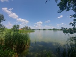 Продається ділянка Житомирська, Житомирський, Млинище, Люби Кучер фото 11 Продається ділянка Житомирська, Житомирський, Млинище, Люби Кучер фото 11