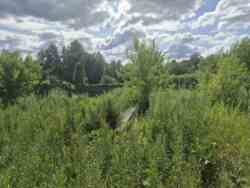 ��������� ������ ��糿���, ���������������, ����������� ���� 4