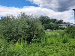 Продається ділянка Житомирська, Житомирський, Новогуйвинське, Дачне-2 фото 6 Продається ділянка Житомирська, Житомирський, Новогуйвинське, Дачне-2 фото 6