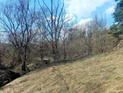 Продається ділянка Житомирська, Житомир, Паперова ф-ка, Слобідська вул. р-н фото 4 Продається ділянка Житомирська, Житомир, Паперова ф-ка, Слобідська вул. р-н фото 4