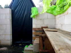 ĳ          (26142819)  10