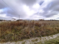 Продається ділянка Житомирська, Житомирський, Сонячне, Новоселів фото 4 Продається ділянка Житомирська, Житомирський, Сонячне, Новоселів фото 4