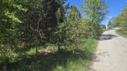 ������ 17,5 ���. �� ��������.(26161757) ���� 14