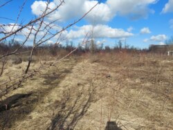 Продаж ділянки 10сот Хінчанка Автомобіліст фото 3 Продаж ділянки 10сот Хінчанка Автомобіліст фото 3