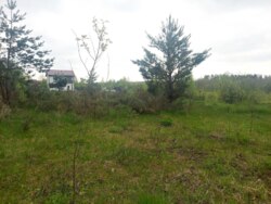 Продається ділянка Житомирська, Житомирський, Іванівка, на Давидівський м-в фото 2 Продається ділянка Житомирська, Житомирський, Іванівка, на Давидівський м-в фото 2