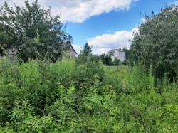 Продається ділянка Житомирська, Житомирський, Новогуйвинське, Дачне-2 фото 4 Продається ділянка Житомирська, Житомирський, Новогуйвинське, Дачне-2 фото 4