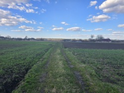 Продаж ділянки 12 соток с.Сінгури фото 3 Продаж ділянки 12 соток с.Сінгури фото 3