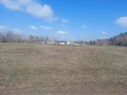 Ділянка 30 соток в с.Садки біля лісу (26140269) фото 5 Ділянка 30 соток в с.Садки біля лісу (26140269) фото 5