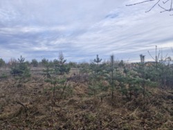 Продаж земельної ділянки 11,4 сот. на Богунії фото 4 Продаж земельної ділянки 11,4 сот. на Богунії фото 4