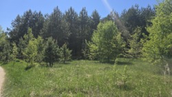 ������ 17,5 ���. �� ��������.(26161757) ���� 3