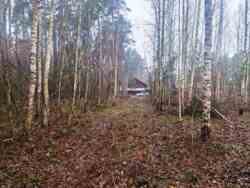 Новогуйвинське 'Любава' в 1 лінії до лісу фото 12 Новогуйвинське 'Любава' в 1 лінії до лісу фото 12