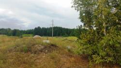 Продаж ділянки 15 сот. Кам'янка фото 4 Продаж ділянки 15 сот. Кам'янка фото 4