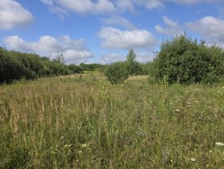 Продаж 15 соток в районі аеропорта (26145164) фото 5 Продаж 15 соток в районі аеропорта (26145164) фото 5