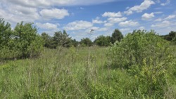 Ділянка 12 соток в с.Кам'янка (26133577) фото 7 Ділянка 12 соток в с.Кам'янка (26133577) фото 7