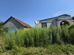 Продаж старого будинку + 13 соток на Богунії (26142318) фото 10 Продаж старого будинку + 13 соток на Богунії (26142318) фото 10