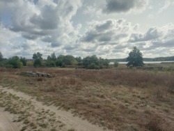 Продається ділянка Житомирська, Житомирський, Тетерівка, Набережна фото 4 Продається ділянка Житомирська, Житомирський, Тетерівка, Набережна фото 4