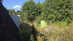 ĳ          (26142819)  23