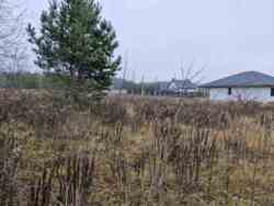 ĳ����� 10 ����� �� ������� ������� 44� (2693736) ���� 3