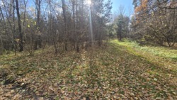 ������ ������ �. ������, ������ �� ��� ���� 4