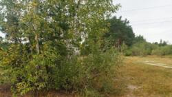 Продаж ділянки 15 сот. Кам'янка фото 5 Продаж ділянки 15 сот. Кам'янка фото 5