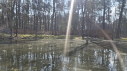 ĳ����� 20 ����� � ������� �� ������ ������� ��� ���� 8