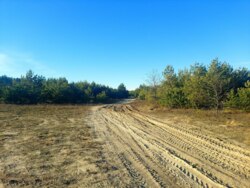  2,44       .'(26105783)  3