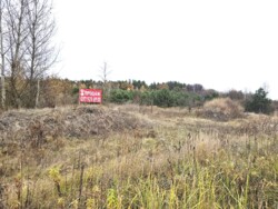 Фасадна ділянка, Оліївка 1,2га комерційного призначення (26126266) фото 6 Фасадна ділянка, Оліївка 1,2га комерційного призначення (26126266) фото 6