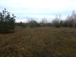 Ділянка 15 сот., початок с.Сінгури. (26105809) фото 5 Ділянка 15 сот., початок с.Сінгури. (26105809) фото 5