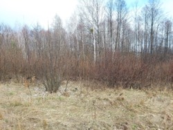 Фасадна ділянка 70 соток (26137933) фото 4 Фасадна ділянка 70 соток (26137933) фото 4