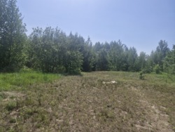 Продаж ділянки с.Тетерівка, крайня до річки фото 9 Продаж ділянки с.Тетерівка, крайня до річки фото 9