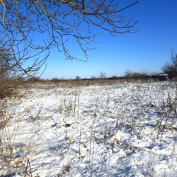 Продаж ділянки 10 сот Хінчанка фото 6 Продаж ділянки 10 сот Хінчанка фото 6