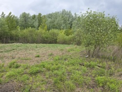 Ділянка з виходом до лісу і світлом, Смоківка фото 4 Ділянка з виходом до лісу і світлом, Смоківка фото 4