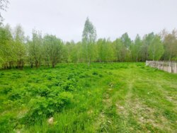 Продається ділянка Житомирська, Житомирський, Глибочиця, Березової р-н фото 6 Продається ділянка Житомирська, Житомирський, Глибочиця, Березової р-н фото 6