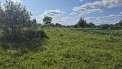 Продаж ділянки в с.Зарічани під будівництво фото 5 Продаж ділянки в с.Зарічани під будівництво фото 5