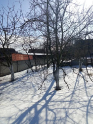 ��������� ������ ����������, ������������, ����������� ���� 4