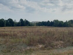 Продається ділянка Житомирська, Житомирський, Березівка, під лісом фото 6 Продається ділянка Житомирська, Житомирський, Березівка, під лісом фото 6