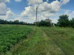 Продаж ділянки 24,6 сот. в с.Двірець поряд з озером. фото 1 Продаж ділянки 24,6 сот. в с.Двірець поряд з озером. фото 1