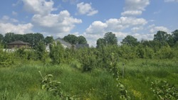 Продаж ділянки на початку с.Іванівка фото 4 Продаж ділянки на початку с.Іванівка фото 4