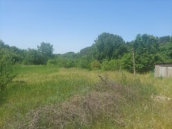 Ділянка на Богунії біля озера фото 5 Ділянка на Богунії біля озера фото 5