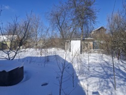 ���� �� �������������, ������������ ����� ���� 17